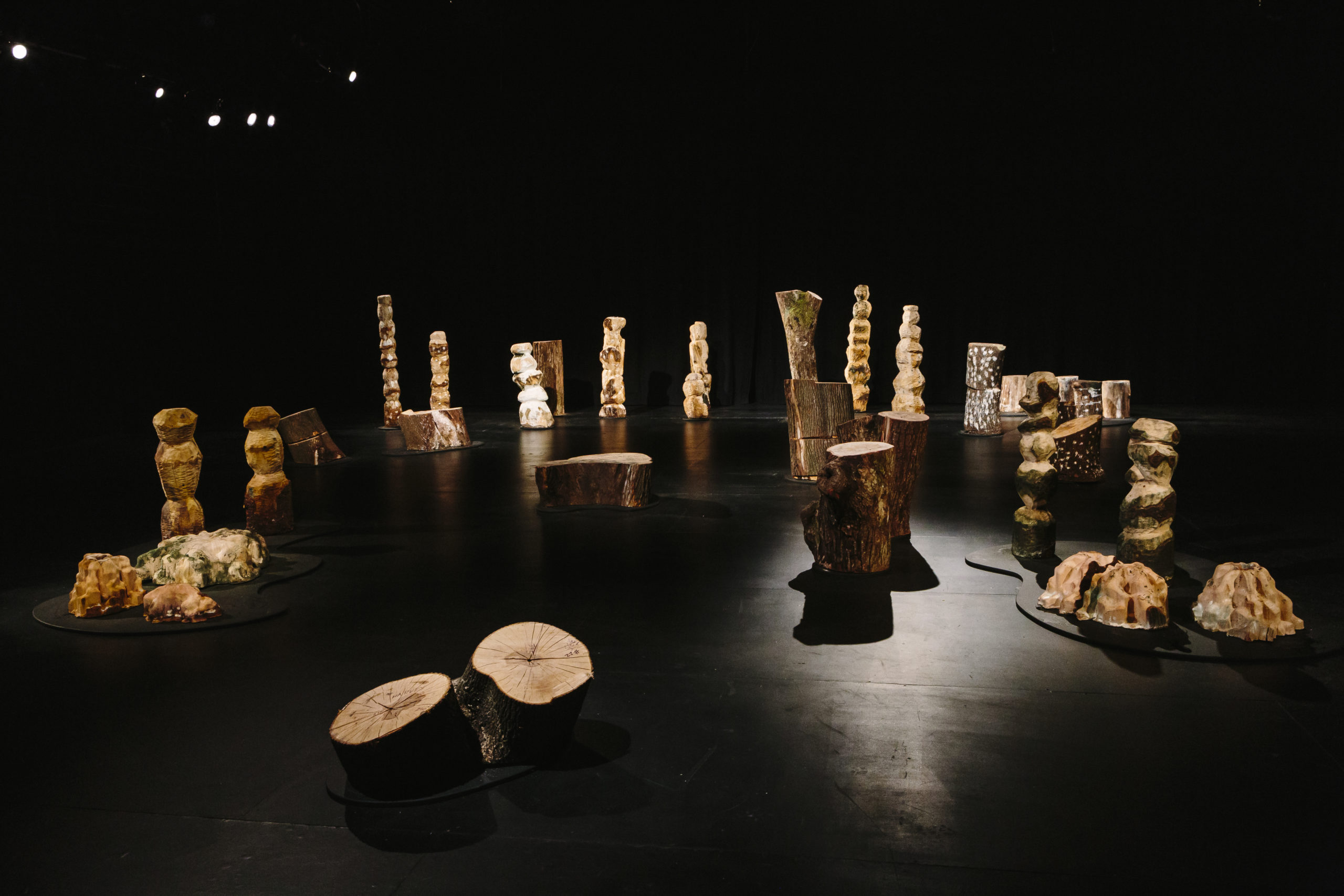 Several tree stumps of ranging size and shape.