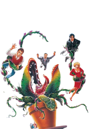 An image of the cast of Little Shop of Horrors with Audrey 2- the overgrown human-eating plant.